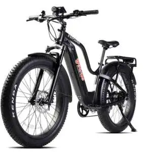 E-Explorer Off-Road E-Bike (Size M, Black)