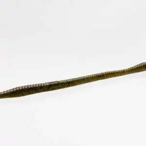 ZOOM 006-025 ZOOM Trick Worm 6.5" Green Pumpkin