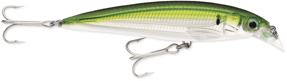X-Rap Saltwater 12 Pilchard