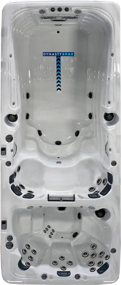 19' Aquex Dual Pro Plus Swim Spa