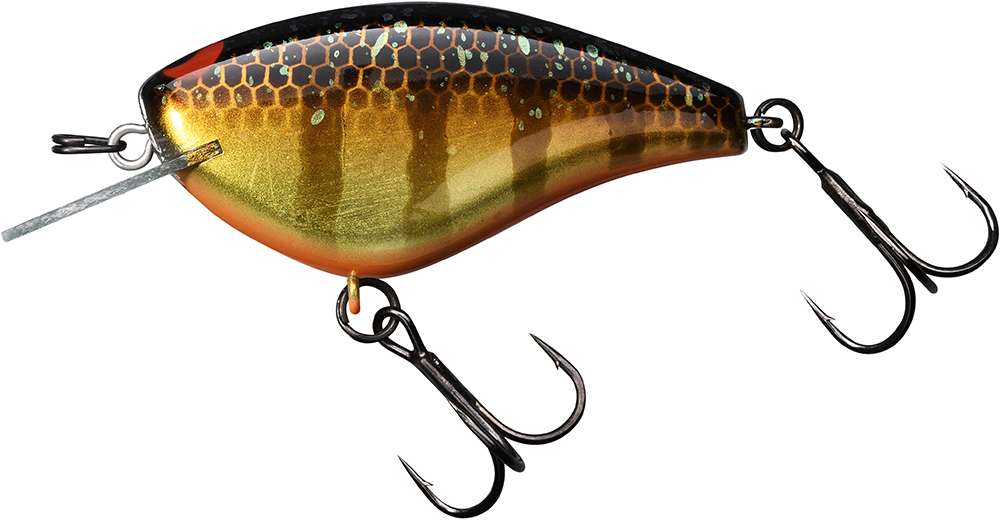 BLING 55 GOLD GILL