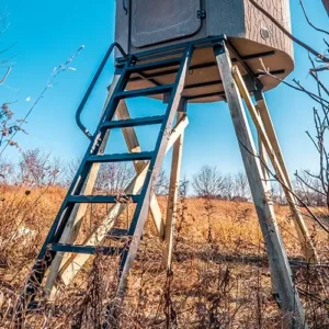12' Ladder