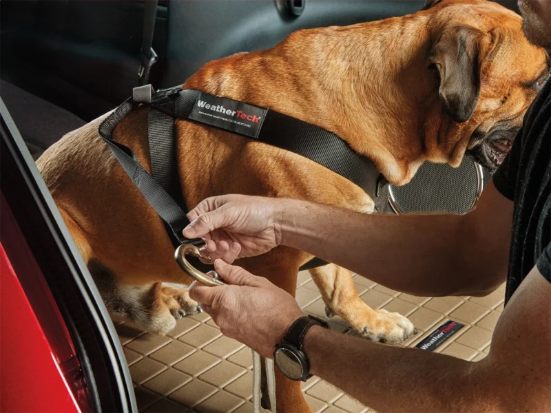 WeatherTech Pet Gear